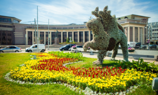 SEO продвижение сайта to-kazan.ru