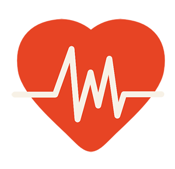 SEO продвижение сайта drcito.ru